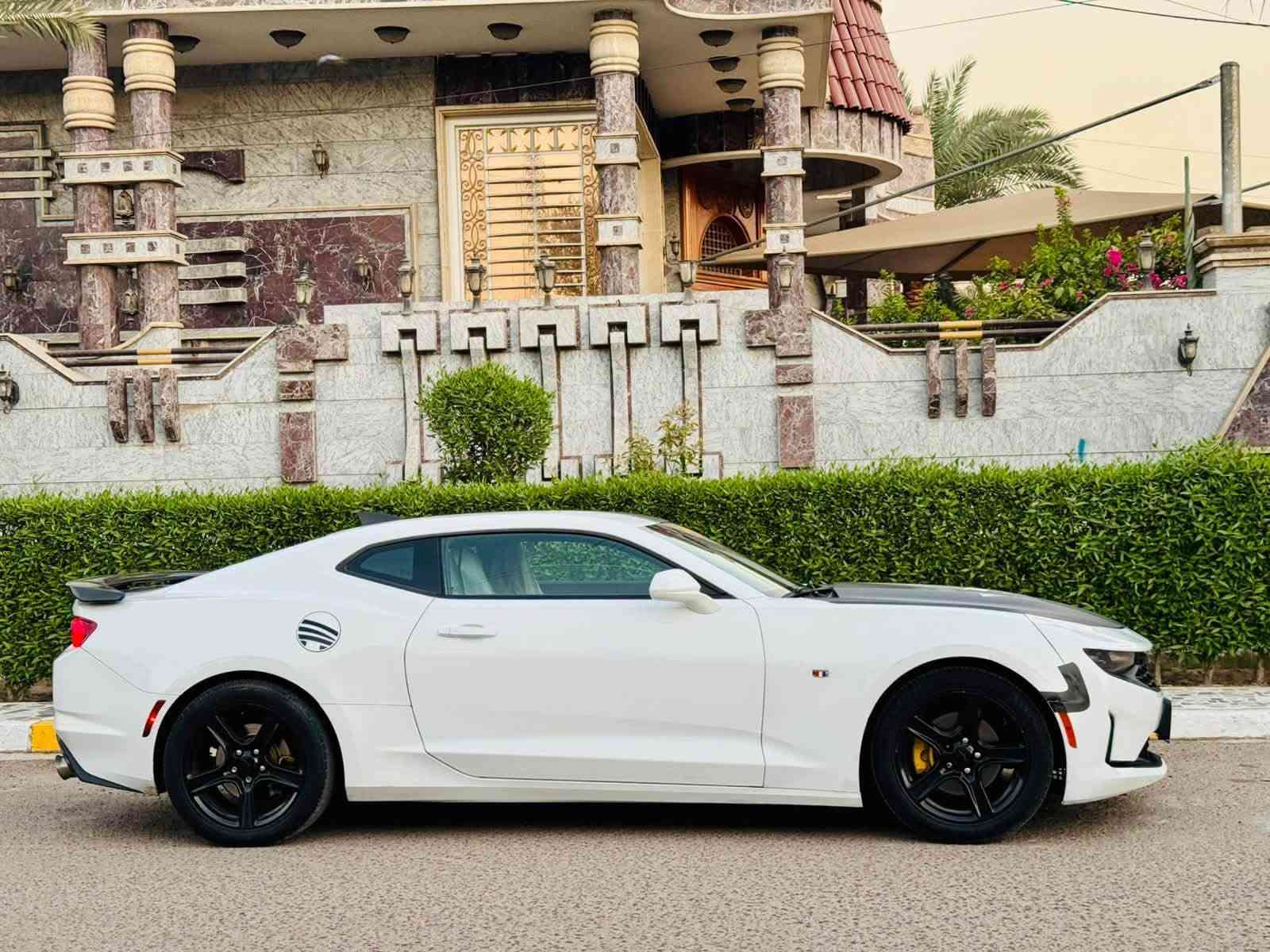بلاش ب عااافيه ع ياخذه
كمارو 2019 ب اسمي 

السعر : 95 $ وبيه مجااال 

اتصال :  ***********

سياره حادثه بسيط الصندوك وجاملغ ؟ البنيد محدث البجم كبس بدون دواخل 

السياره جديده مناقصها شي 
فول سياره ماعدا الفتحه 

بصمه 

سماعه دمام.  BOSE 

سايد بريك دكمه 

شفتات  ستيرن

كشنات جلد احمر

 ٣ انضمه قياده 

جاهزه مناقصها شي. 

بغداد
