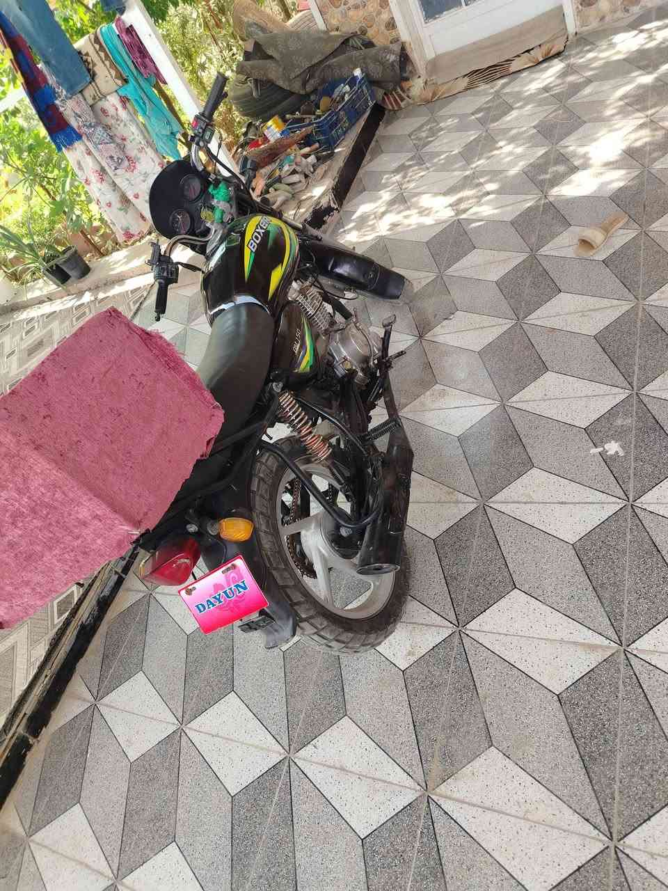 بوكسر • ٢٠٢١ • ستوته