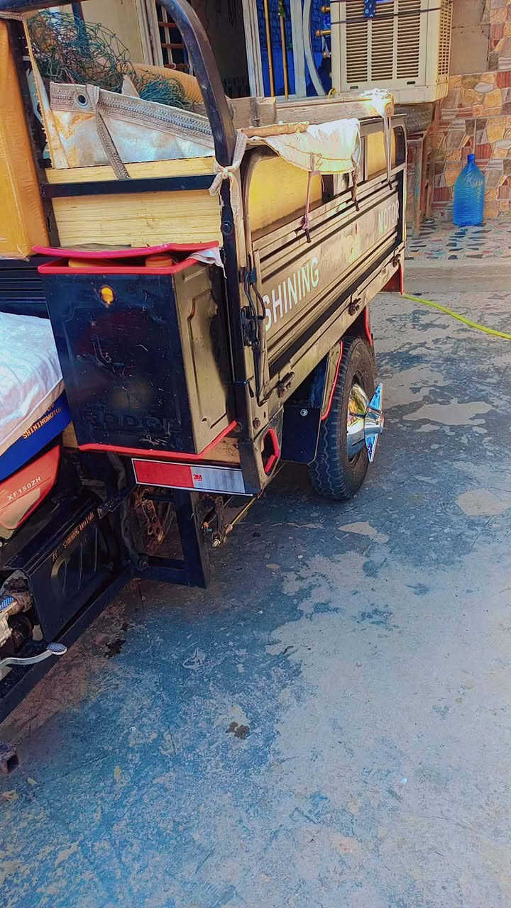 السلام عليكم ستوته للبيع صقر مديل 20 السعر 1600 المكان بغداد مدينه الصدر رقم ***********
