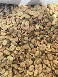 بذور • باجله • للبيع
