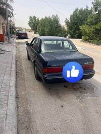 ارنب • نضيفه • بصره