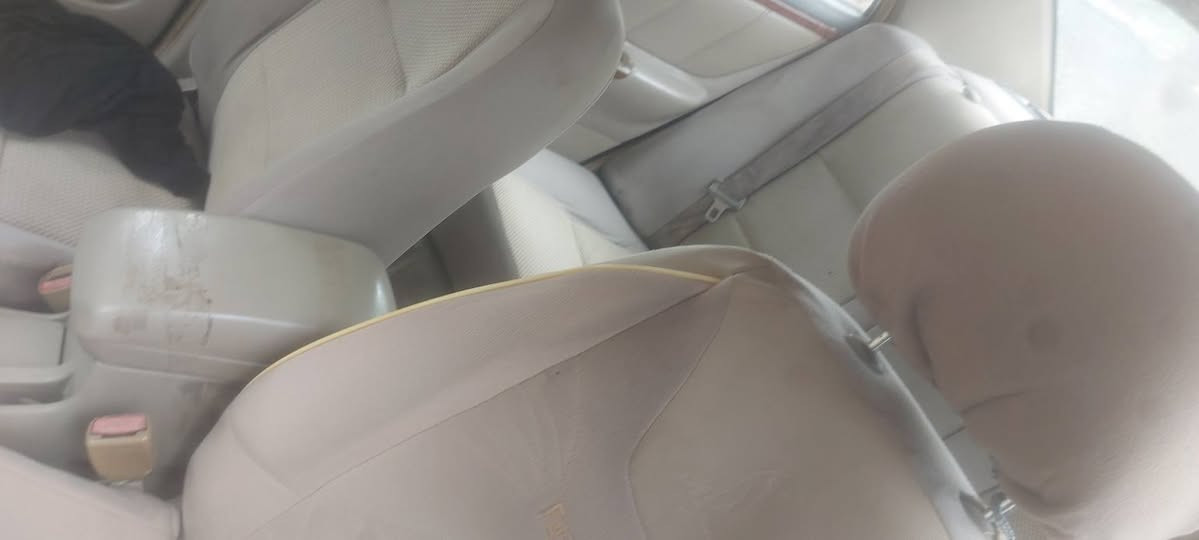 جيلي • ٢٠١١ • رقم بابل