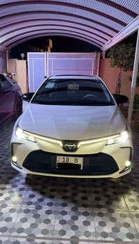 كورلا ٢٠٢٥ • كفاله عامه • رقم بابل