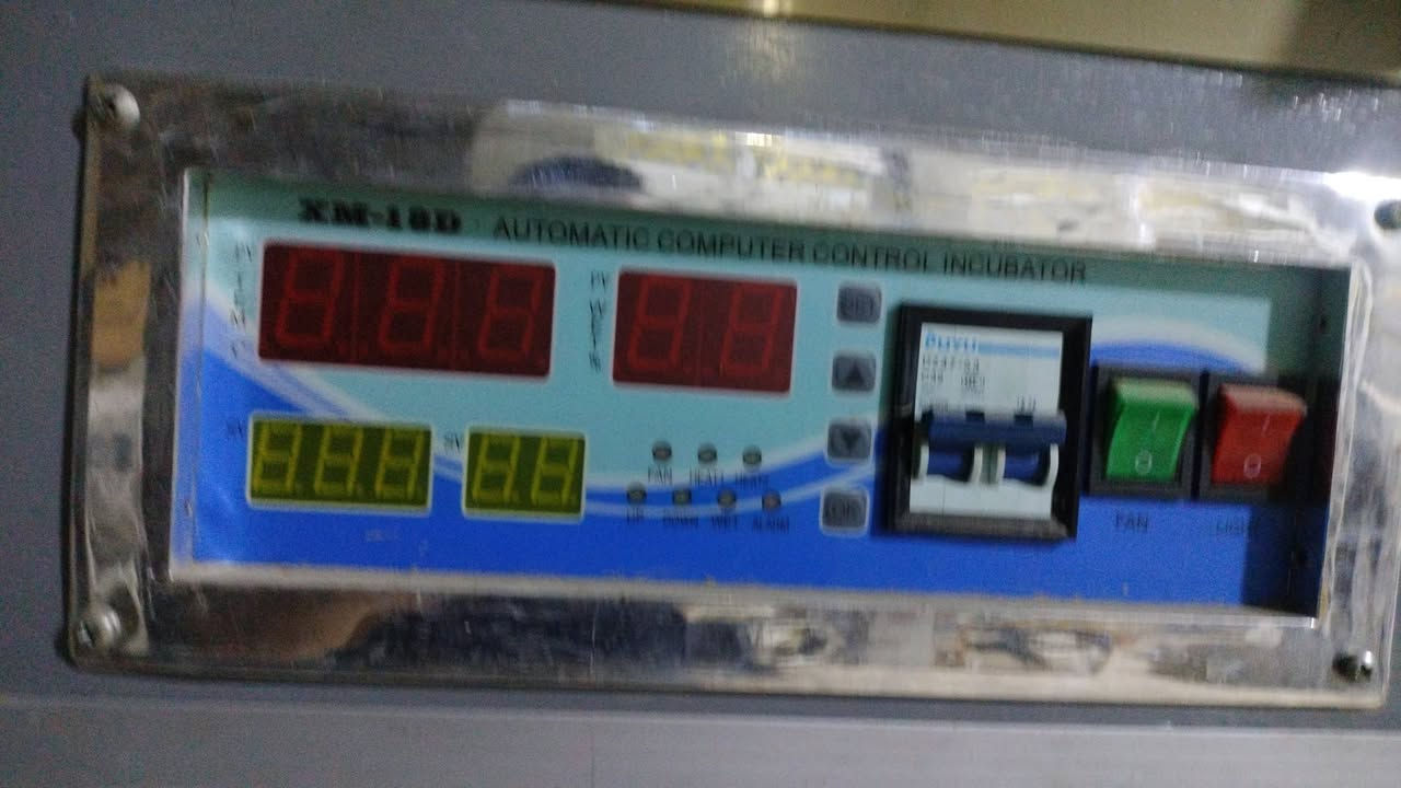 فقاسة • ١٥٠٠بيضة • بغداد