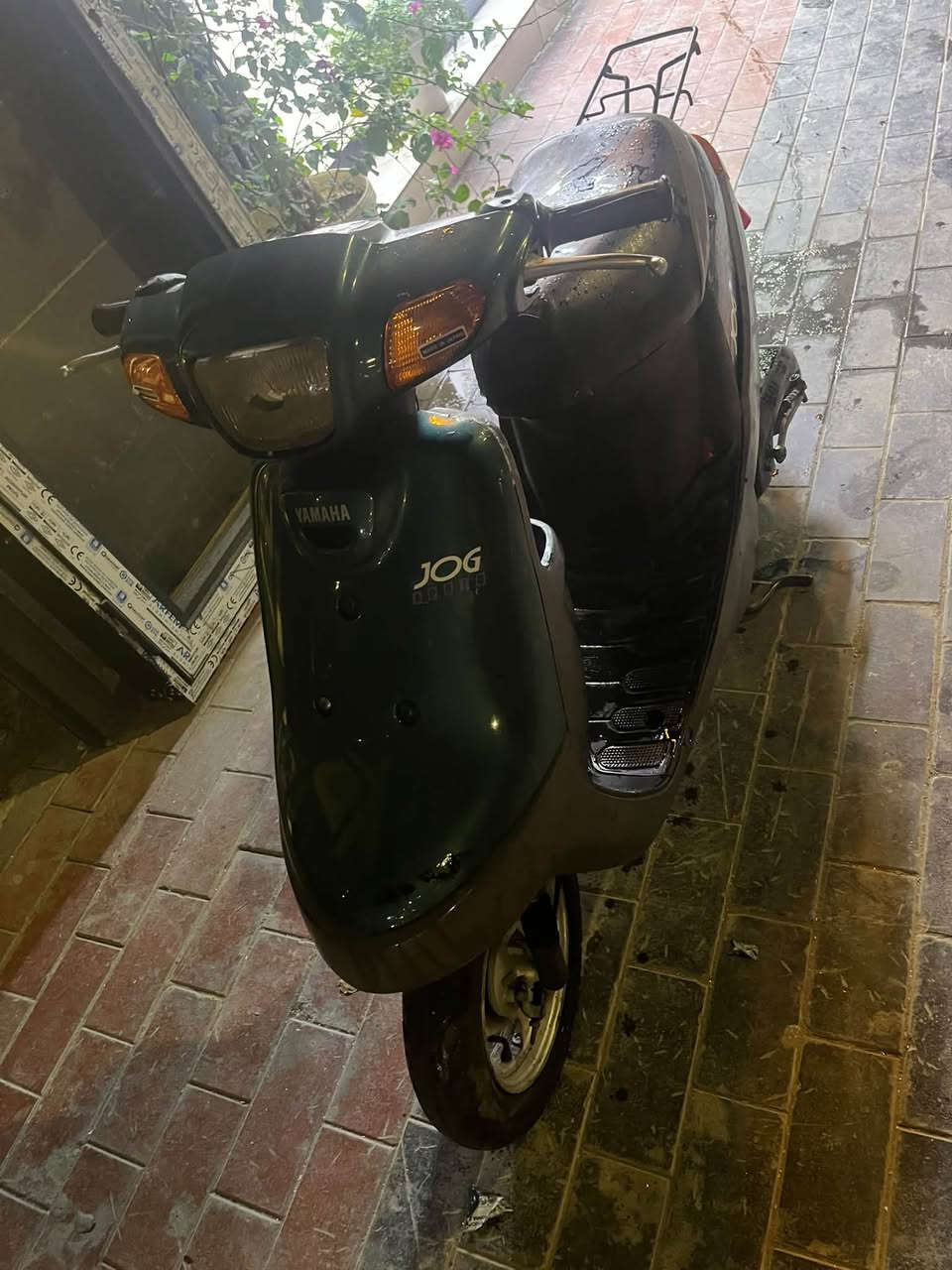 بطة • نضيفه • بلاديه