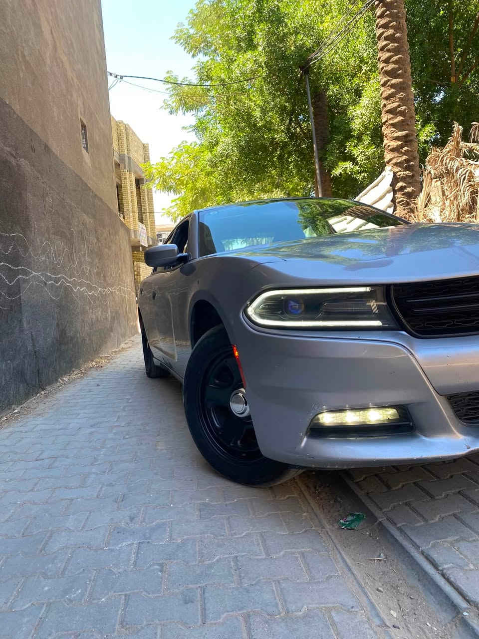 بسم الله الرحمن الرحيم ❤️ 

اللهم صل على محمد وال محمد ❤️

 ليدور طك كارتون وجديد هاذا 👌

الموديل 2015 👌

 بلاص SXT ❤️

سلام عليكم للبيع دوج جارجر سياره بحاله الوكاله تخم تاير صدر امامي خلفي كير محرك كارتون سياره مشايه ٨٨ الف ميل حقيقي شرط الفحص والسونار سياره كفاله عامه ماعدا صبغ دعاميه اماميه فقط كفاله عامه سبير منازل سياره من 2016 عدنه إلى هسه خير من الله لامشتغله خط ولا ابد سياره مال بيت فول مواصفات مكاني بغداد الكريعات اي ستفسار رقمي ***********
