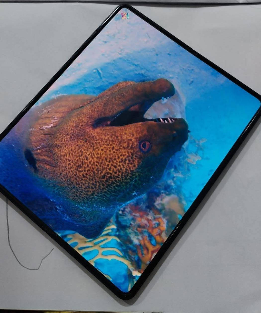 للبيع جهاز Galaxy Z Fold3 5g القابل للطي مستخدم...
جهاز غني عن التعريف من شركة سامسونج بمعالج سناب دراجون 888 5g المخصص للألعاب القوية..
جهاز يجمع بين الآيباد والعادي ..
للمشاهده راح يجي بشاشة Dynamic Amoled
ذاكره اساسية 256 وعشوائية 12 
تأتي الكامرة الأمامية بدقة 16 ميكا بكسل
وبالخلف ثلاث كامرات( الأولى للتصوير الثابت والثانية للزوم والثالثة للتصوير الواسع) حيث تدعم الكامرات تصوير ال4K ...
عزل للضوضاء بوجود اكثر من مايك واحد... 
تدعم السماعات الخارجية صوت ستريو...
يدعم الشحن السريع وايضًا اللاسلكي العكسي بقوة 4.5 واط..
يأتي مع شاحن اصلي من سامسونج وقلم وعدة كفرات. 
راح يكون بسعر 500,000 الف فقط وبي مجال للشراي.
للحجز والأستفسار راسل الرقم واتس اب
***********
مكاني الشعب.

