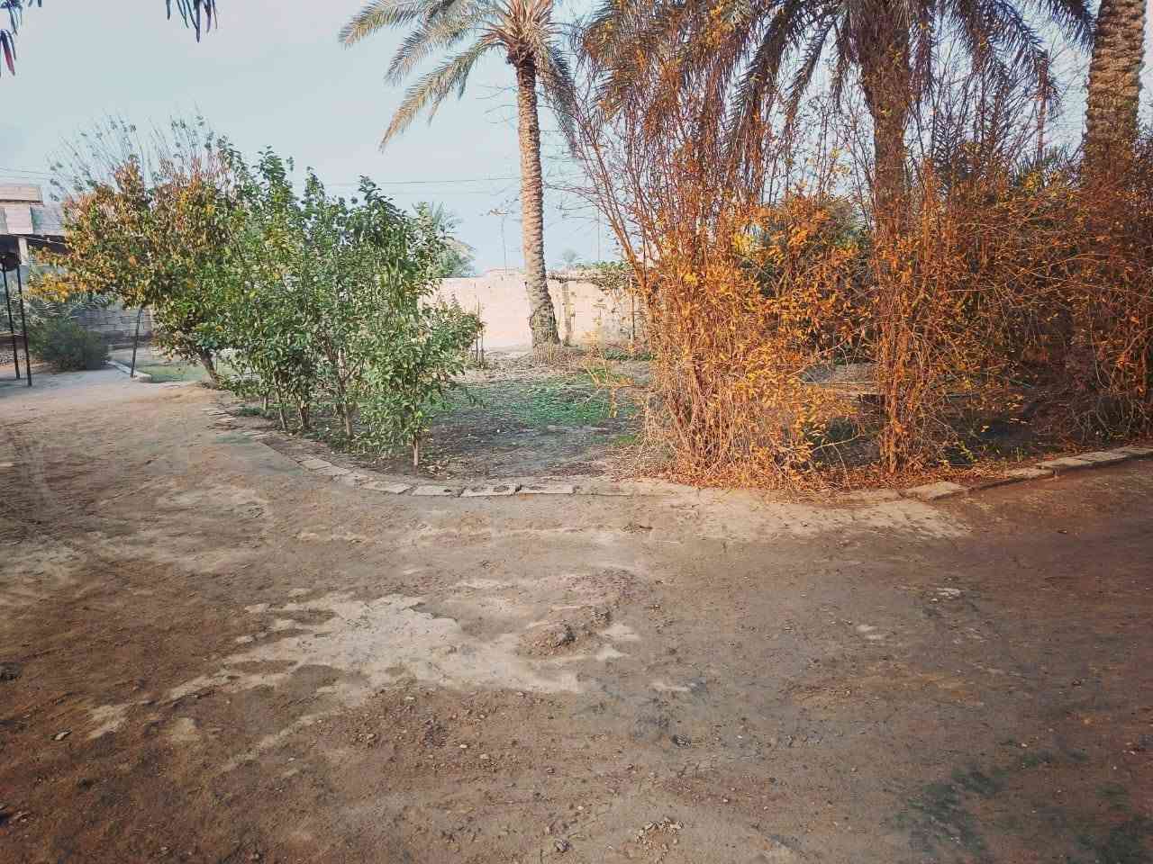 الشهابي الثالثه • ١٠٠٠م • قريبه مجمع الماسه