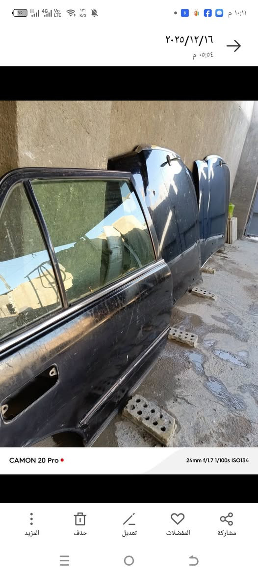 بغداد • غراض أرنب • رأس ثور