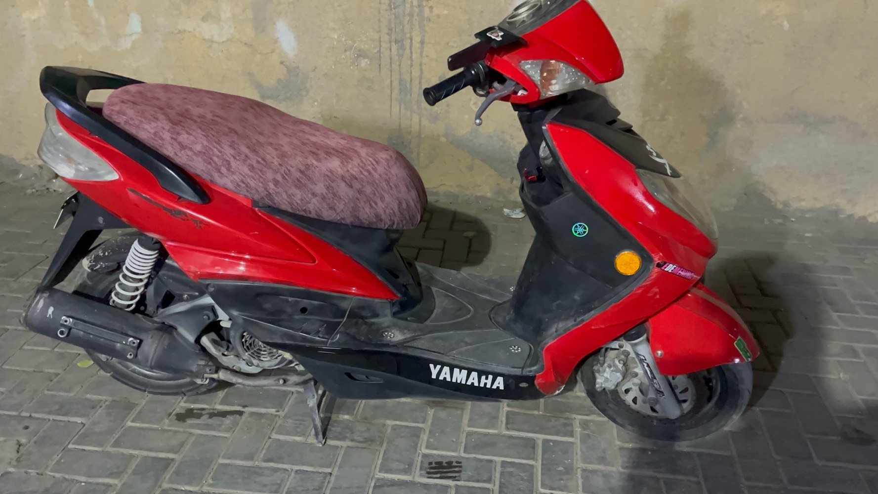 سكنس فحل • نوزل خطين • زنون اصلي