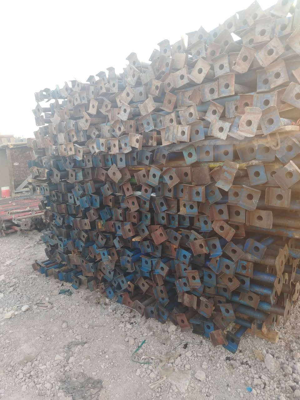 حاضن • أصلي • بابل