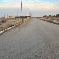 يوجد قطه البيع.                                       50 و 100  و200 و...