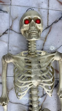 هيكل لبيع طوله165 سعر75 وتساب07705721891
