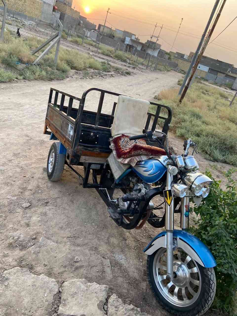 ستوته • ٢٠١٦ • مكفوله