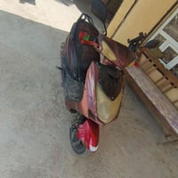 سلف • محرك فول • مرتب