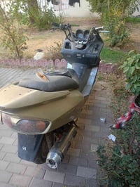 فورزه • ٠٦ • سلف عاطل