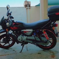 بوكسر جبلي • مرقم • مديل ٢١