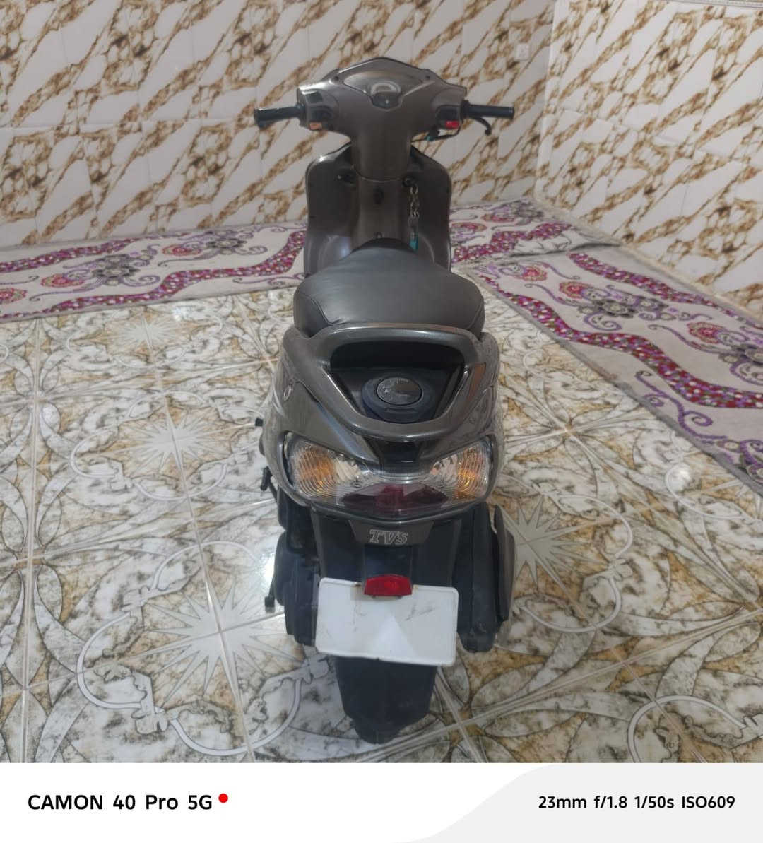 ويكو هندي • ٢٠٢١ • كفالة عامة