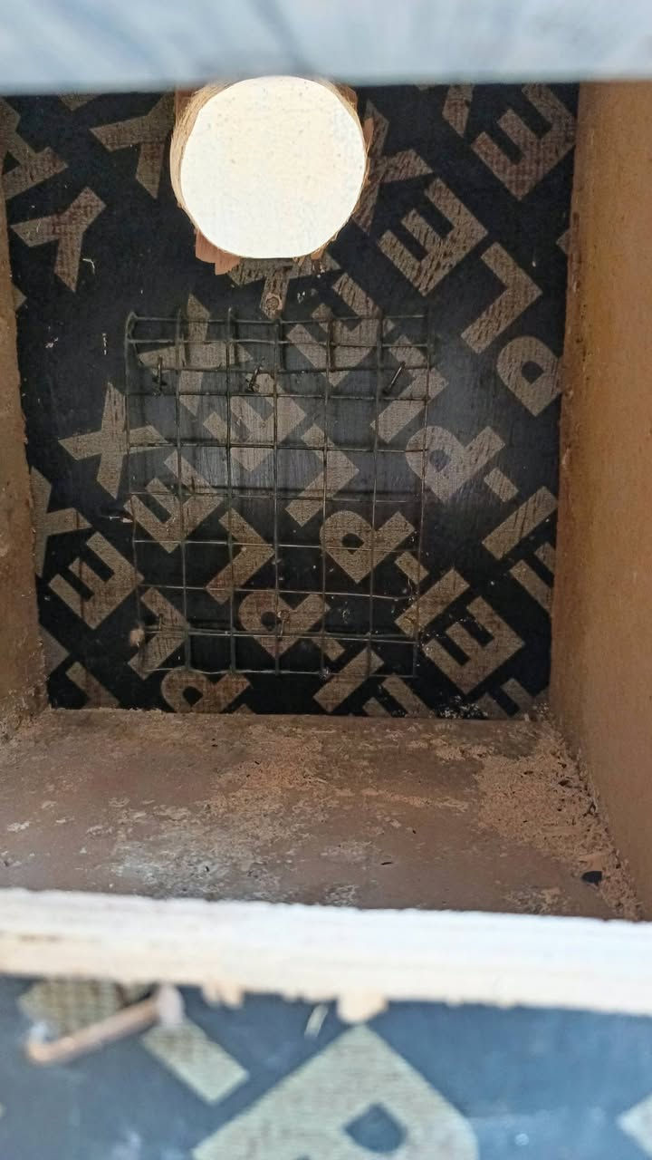 4 بيوت انظاف

