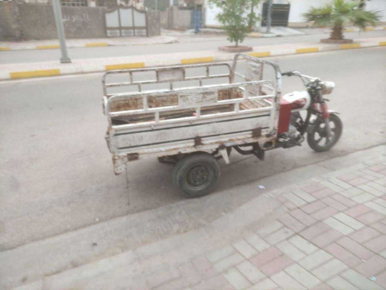 ستوته • موديل18 • بدون أوراق