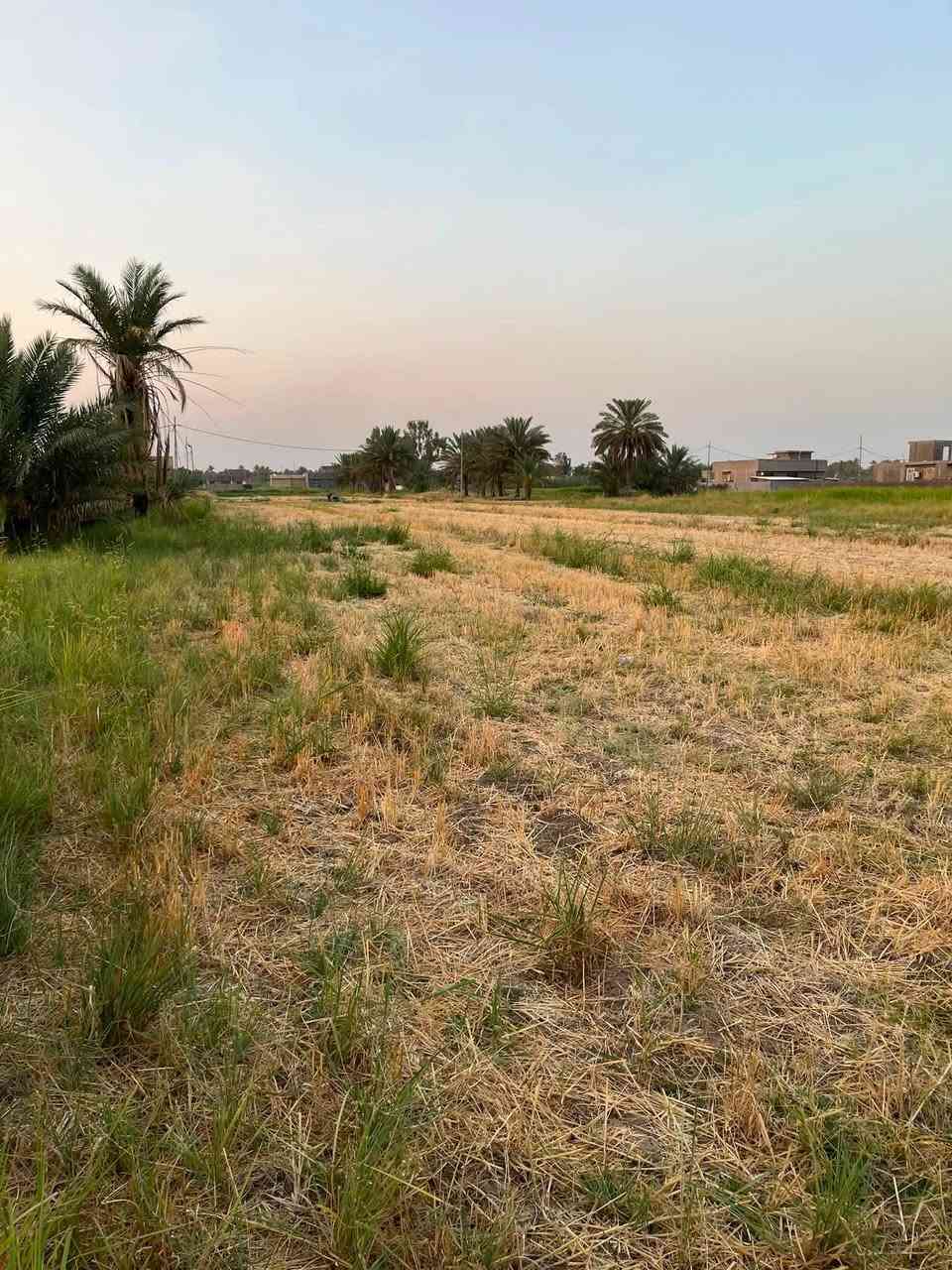 يالله السلام عليكم
🌴 للبيع أرض زراعية مميزة 🌾

المساحه : دونم وربع 
المساحة الكلية: 3125 م²
ارض جاهزه للسكن او زراعه يتوفر بيها
كهرباء وماء بالاضافه إلى قريبه على 
شارع تبليط مسافه 100 متر أو اقل 

📍 الموقع ابي غرق _ الرغيله _ منطقه زغيب 
📞 للاستفسار : ‭***********‬ / ‭***********‬
