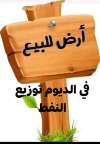 تكريت الديوم • قطعة أرض • ٢٥٠م