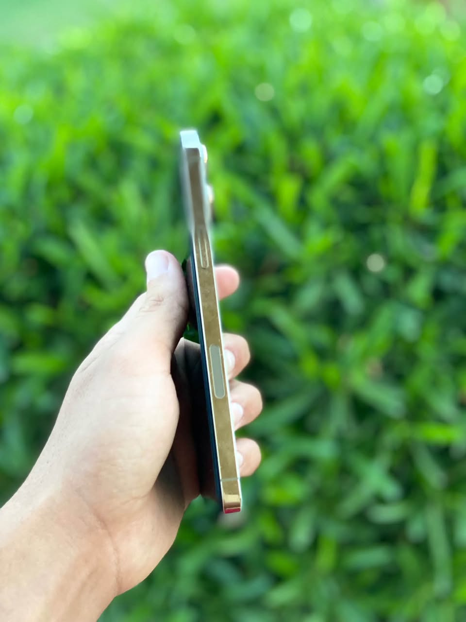 ايفون ١٢ برو ماكس • ٢٥٦ • شاشة وبطارية مستبدلة