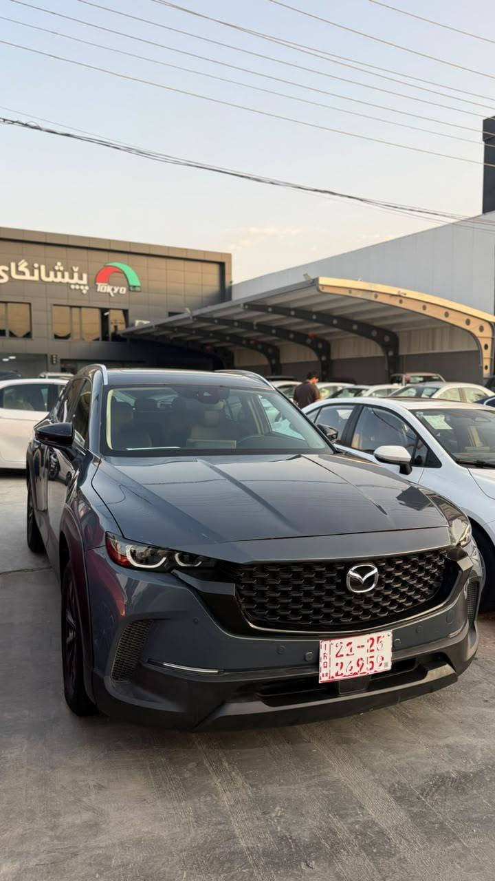بێ بۆیاخ ٢٠٢٤ premium ٢٠٠٠٠ ڕۆشتووە سعری ١٩٥ گەڵا ***********
