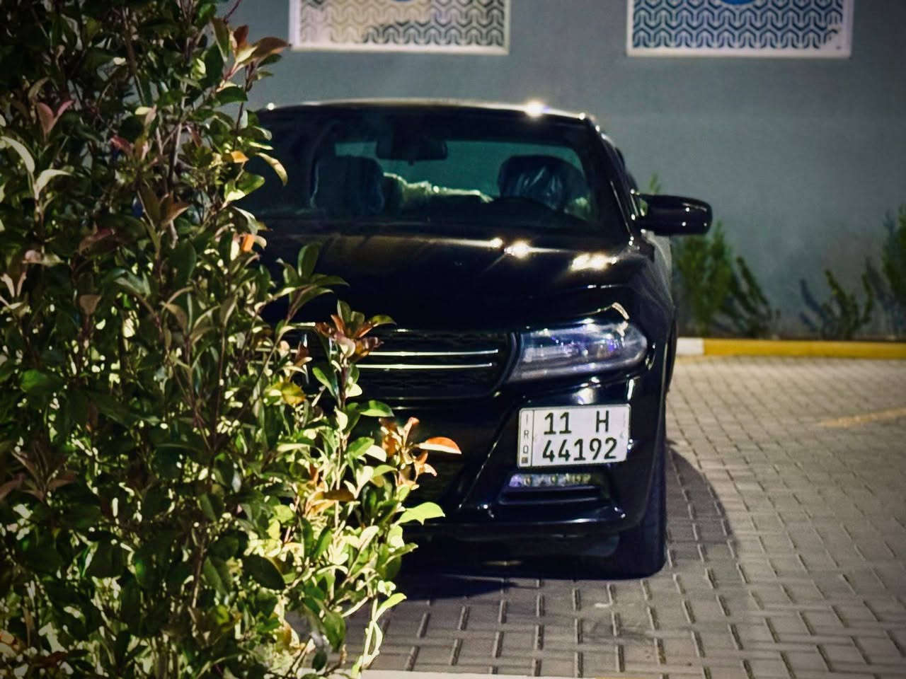 تشارجر SXT • ٣٦٠٠ سي سي • غرق بسيط