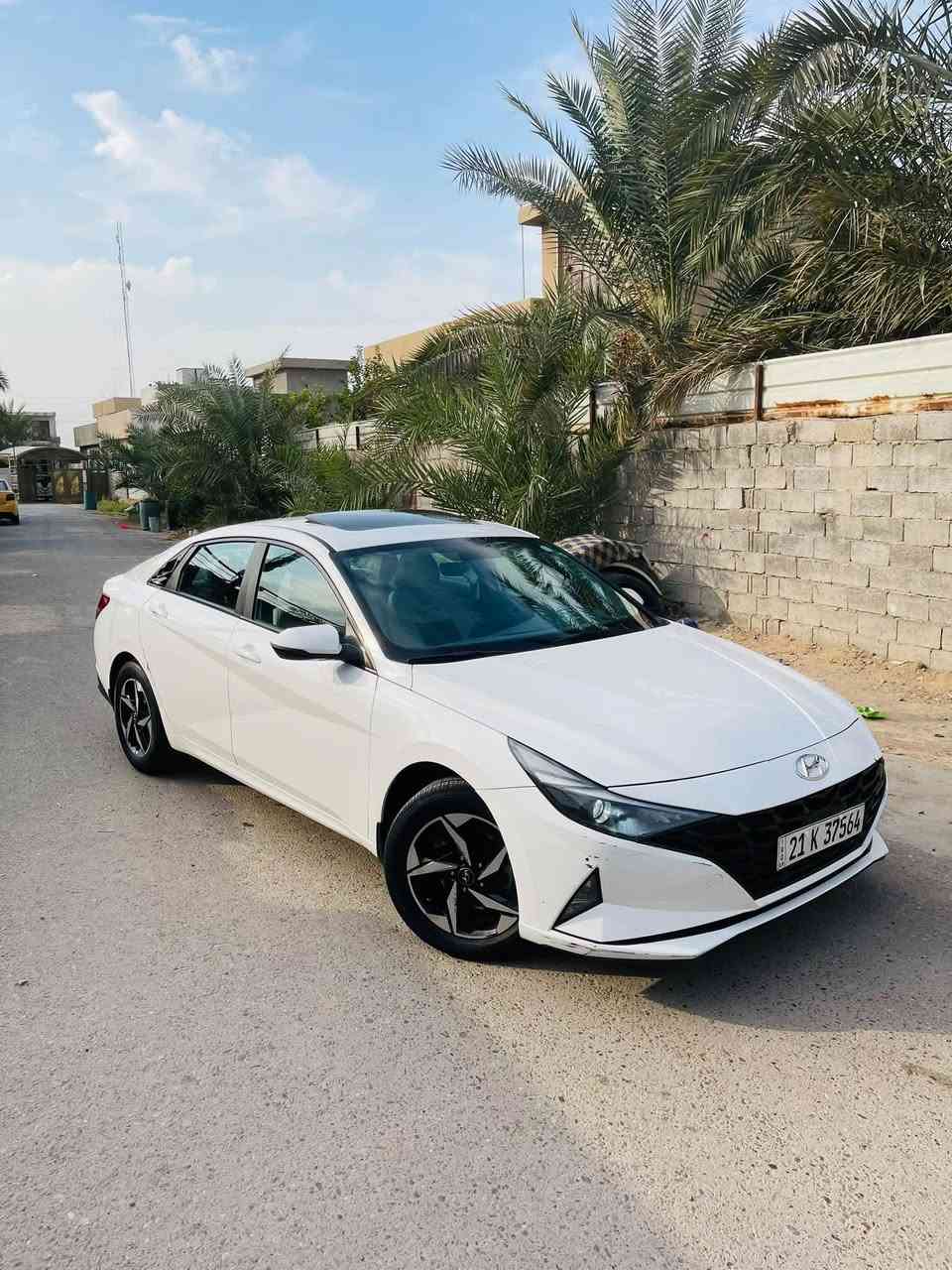 ألنترا ٢٠٢٣ • خليجي • بدون صبغ