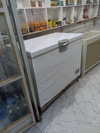 مجمدة • شغالة • ديالى شهربان