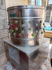 دجاج • هلاسه • للبيع