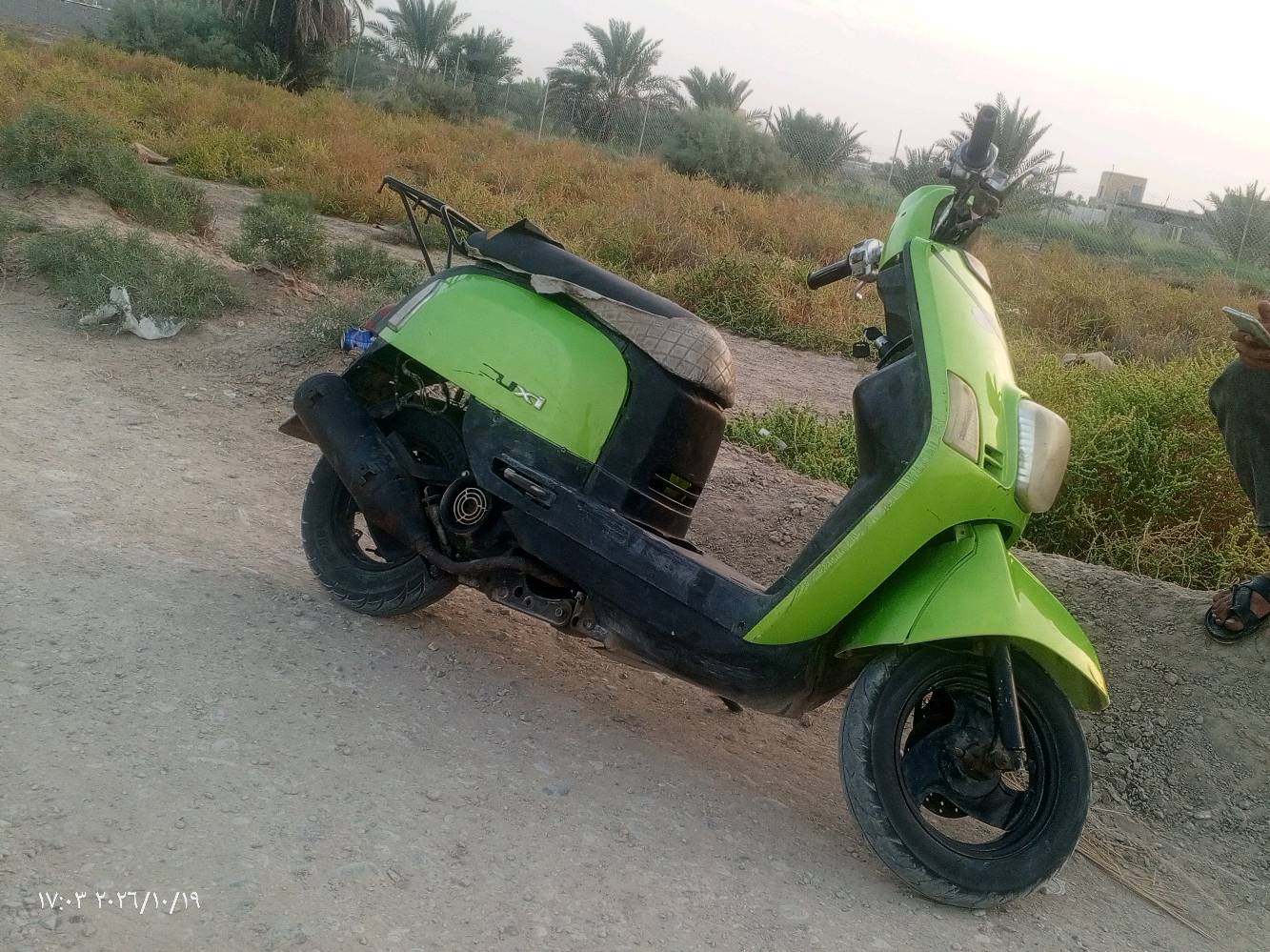 بوليسي • جديد • ناصريه