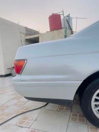 بطة فصل • ١٩٩٣ • كرمة علي