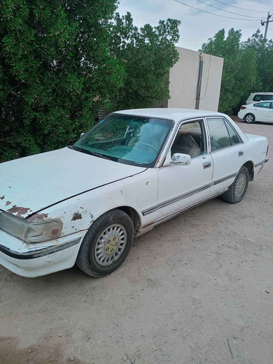 سوق الشيوخ • للبيع • اتصال