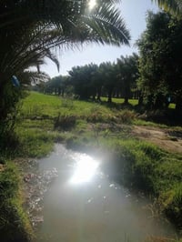 ٦دونم • طابو مفروزة • منطقة العواد الرعدة