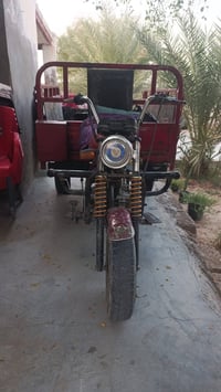 ستوته • دايون فحل • اوراق كامله