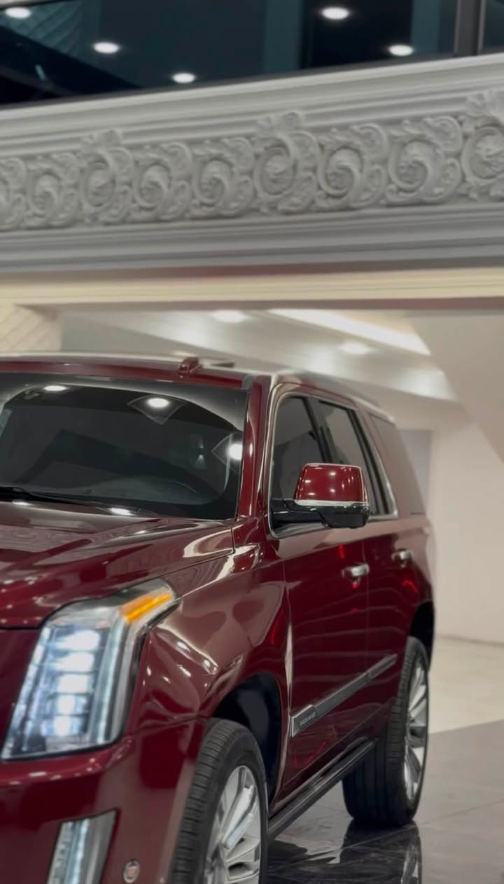 cadillac escalade 2017
خليجي فول فول من الخير
صبخ ٤ قطع بدون شاصي 
ارباك سكان و برده سيستم 
سيارة تبريد مركزي 
دوسات كهرباي 
تبريد مركزي 
٤كشنات تدفئه و تبريد
سلايد 
كشنات جلد 
داتاشو 
بصمه 
سندوك شفط
فول فول 
داخل مشمشي 
ماشية ١٣٥ كم 
محرك ٨ 
محرك شرط ممفتوح 
سعر٢٤٩ ورقه قفل 
مكاني دهوك
*********** واتس اب كورك

