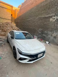 النترا ٢٠٢٣ • شكل ٢٠٢٤ • مرقمة اربيل