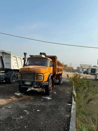 شاصي 81 • محرك جديد • بغداد التاجي
