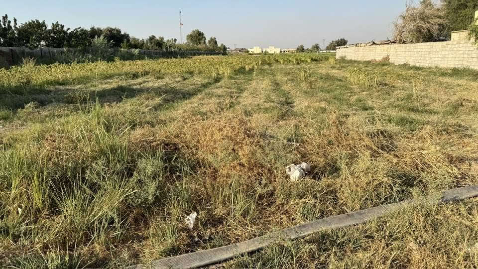 السلام عليكم دونمين للبيع بل يوسفيه قريه البعامر صايرات على شارعين كل الخدمات متوفره للاستفسار اتصل 
***********
