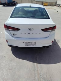 سوناتا ٢٠١٩ • وارد امريكي • ٧ راكب