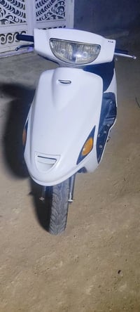 فراشة • شغاله