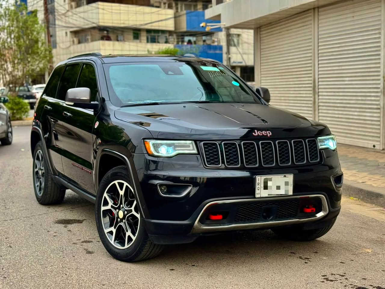 ترال هوك • ٢٠٢١ • بانوراما