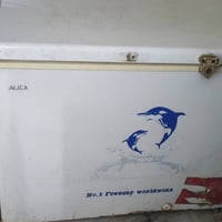 مجمد • للبيع