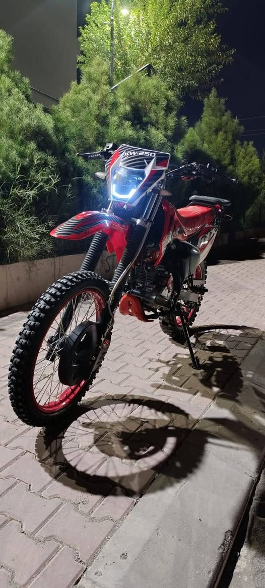 كاويار برو • ٢٥٠ • ٢٠٢٦