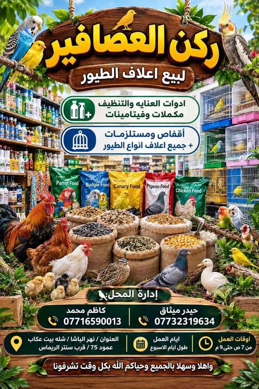 العنوان الكرنة بنهر الباشة شلهت بيت عكاب عامود 75 

***********
كاضم محمد 
انواع لاعلاف 
والطيور

نص مكتوب في الصور:
- ركن العصافير لبيع اعلاف الطيور ادوات العنايه والتنظيف مكملات وفيتامينات أقفاص ومستلزمات + جميع اعلاف انواع الطيور Parrot Food Budgie Food Canary Food Pigeon Food Chicken Feed إدارة المحل: كاظم محمد *********** حيدر ميثاق *********** العنوان / نهر الباشا / شله بيت عكاب عمود 75 / قرب سنتر الريماس ايام العمل طول ايام الاسبوع اوقات العمل من 7 ص حتى 9 م واهلا وسهلا بالجميع وحياكم الله بكل وقت تشرفونا