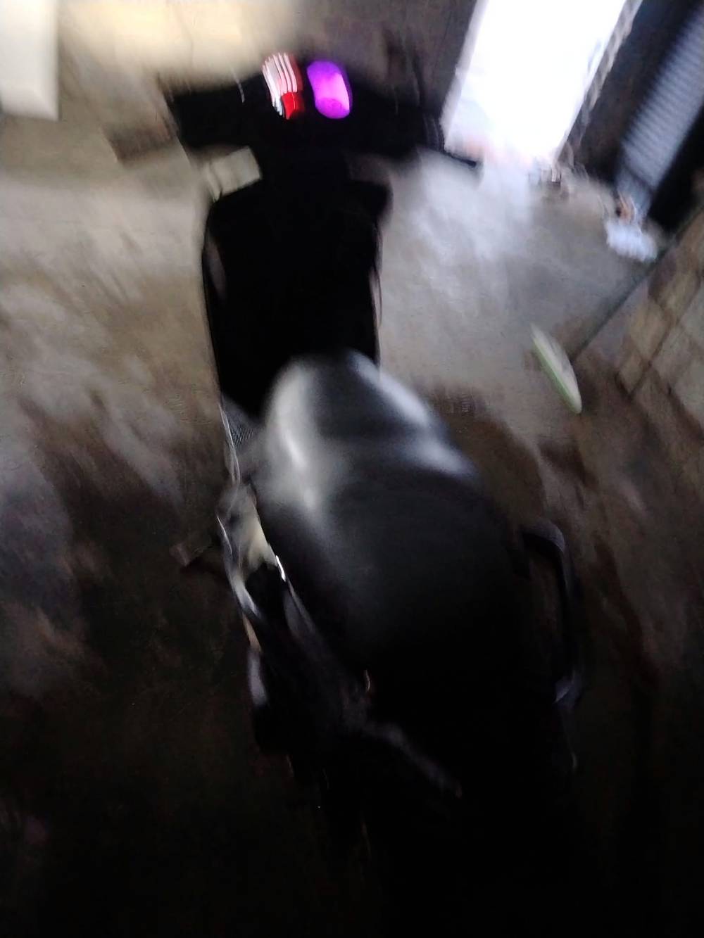 سكنس فحل • كهربائيات شغاله • مكينة نضيفه