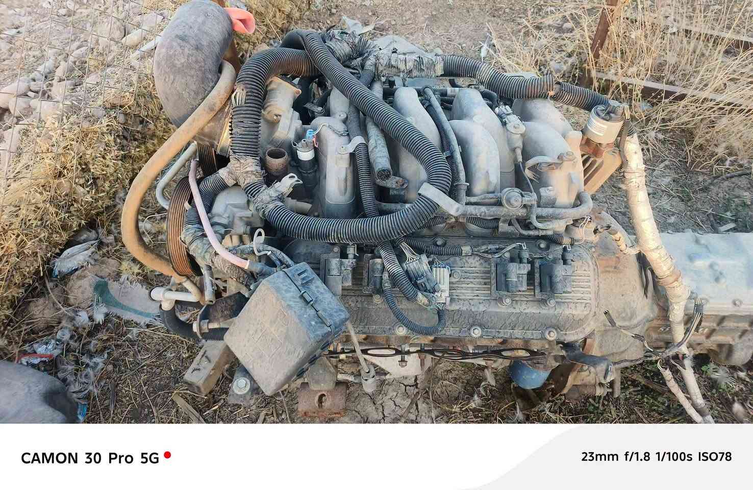 سڵاوو  گێڕی پاتڕۆڵ و مکینە تاهۆ v8  حجم 8100cc 
بۆ فرۆشتن  کاملە هیچی نقس نیە لەعەرز ئیشەکات عقڵ تاخم وایەری کاملە  شوێن چەمچەماڵ 
***********
***********

نص مكتوب في الصور:
- EQUIPOU ATÉ CAMINHÕES! VORTEC 8100 - O IMENSO V8 DE 8.1 LITROS DA GM!
- GMC Topkick 2009 Vortec 8.1L V-8 (L18) Medium Duty (LRW option)
- CAMON 30 Pro 5G 23mm f/1.8 1/100s ISO90
- CAMON 30 Pro 5G 23mm f/1.8 1/100s ISO78
- CAMON 30 Pro 5G 23mm f/1.8 1/100s ISO61
- CAMON 30 Pro 5G
- 23mm f/1.8 1/100s ISO91
- CAMON 30 Pro 5G 23mm f/1.8 1/100s ISO85
- CAMON 30 Pro 5G 23mm f/1.8 1/100s ISO87