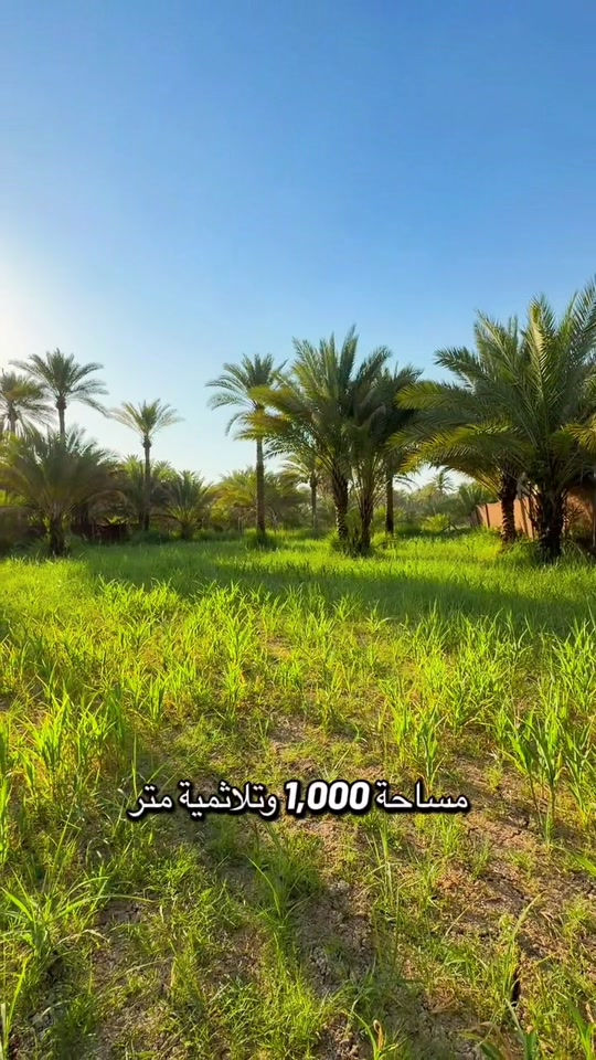 قضاء الحسينية • ١٣٠٠م • كربلاء